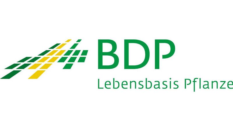 BDP